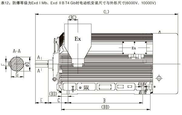 YBX3防爆高壓電機(jī)